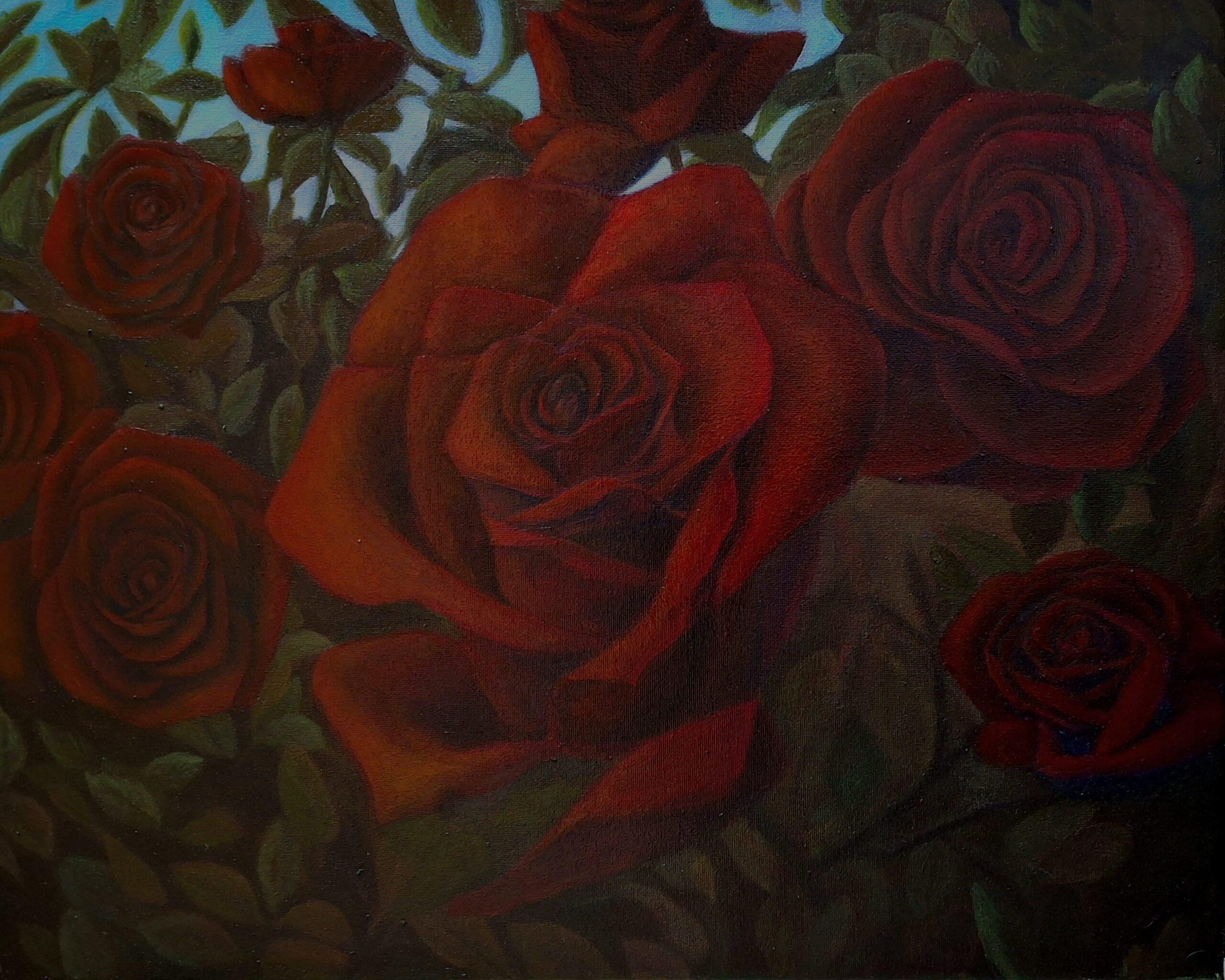 A red rose bush at dusk.