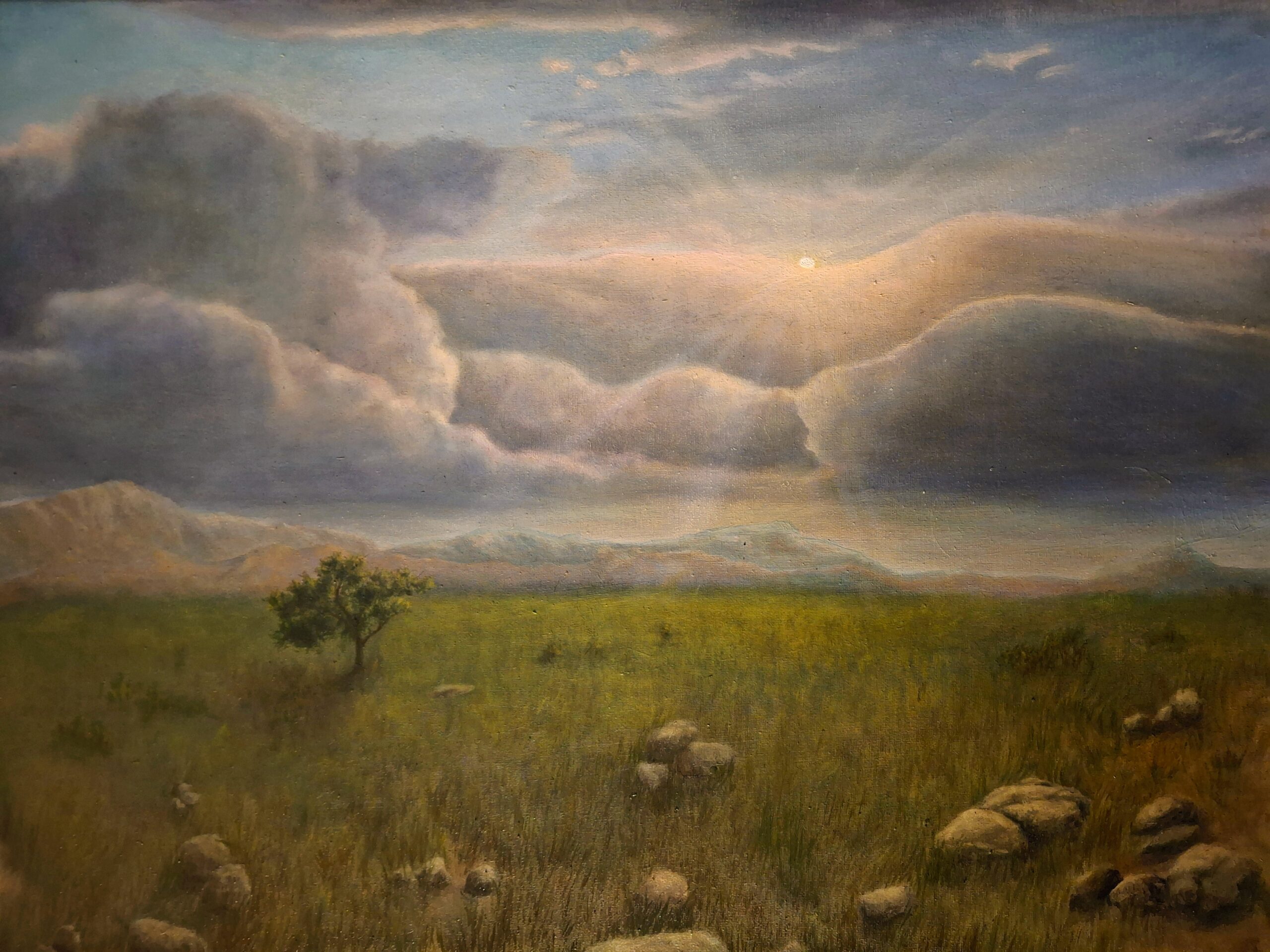 A sunset over a grassy green plain. A lone tree and rocks with mountains in the distance.